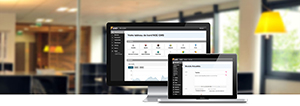 SOFTWARE LOCALIZATION AND WEBSITE TRANSLATION